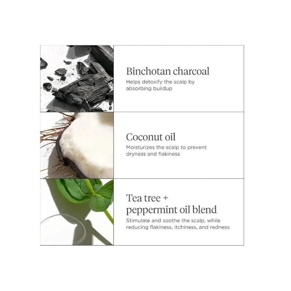 New Lot of (3) BRIOGEO Scalp Review Charcoal + Coconut Micro-Exfoliating Shampoo